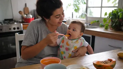 Capa do artigo Introduzir Alimentos Sólidos: Seu Guia Completo e Sem Neura para Iniciantes